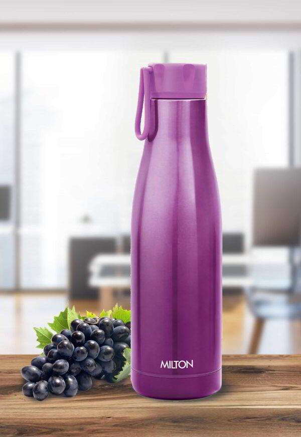 Thermosteel Fame 1000 - Image 2